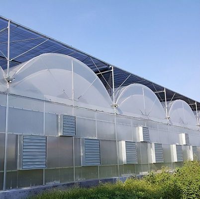 Structure à double arc - Serre hydroponique conçue pour les besoins de production agricoles mixtes