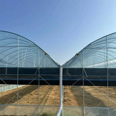 Structure à double arc - Serre hydroponique conçue pour les besoins de production agricoles mixtes