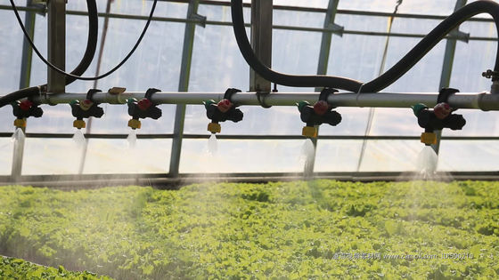 États-Unis/Canada Structure en acier Plantation de légumes Serre à arc unique pour la culture hydroponique