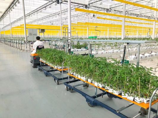 États-Unis/Canada Structure en acier Plantation de légumes Serre à arc unique pour la culture hydroponique