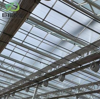 La plantation à humidité contrôlée de Juxiang: la solution parfaite pour la croissance des plantes