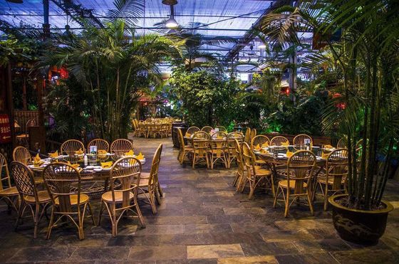Demande personnalisée de refroidissement par pulvérisation maison de plantation pour les semis