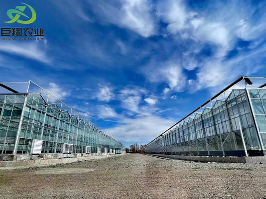 Demande personnalisée de refroidissement par pulvérisation maison de plantation pour les semis