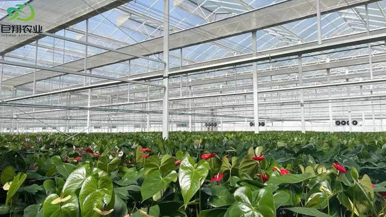 Demande personnalisée de refroidissement par pulvérisation maison de plantation pour les semis