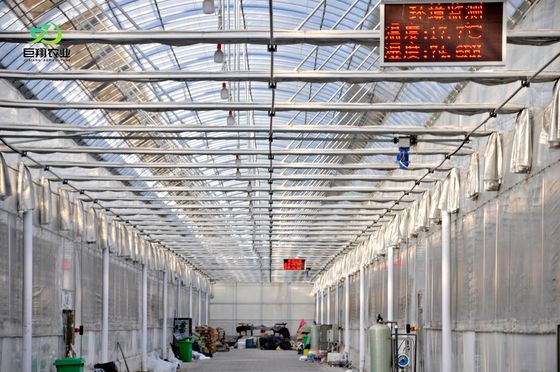Structure de croissance à double couche éclairée pour semis hydroponiques en multi-span