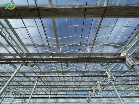 Structure de croissance à double couche éclairée pour semis hydroponiques en multi-span