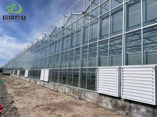 Méthode de culture en tunnel Serre à plusieurs étendues avec tuyau d'acier galvanisé à chaud