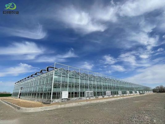 Méthode de culture en tunnel Serre à plusieurs étendues avec tuyau d'acier galvanisé à chaud