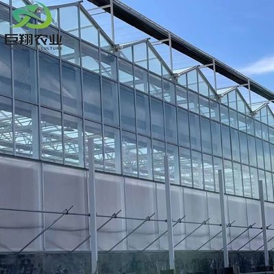 Serre en verre Venlo de 3 à 8 m de hauteur avec système de culture hydroponique