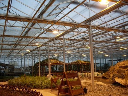 Système de culture de tomates, concombres et laitue Poids brut 2000 000 kg Demande de personnalisation