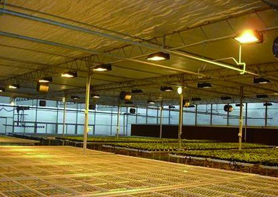Système de culture de tomates, concombres et laitue Poids brut 2000 000 kg Demande de personnalisation