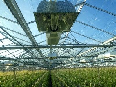 Système de culture de tomates, concombres et laitue Poids brut 2000 000 kg Demande de personnalisation