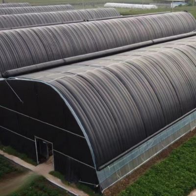 Serre à pellicule de tunnel à bande unique agricole pour champignons et légumes USA/Ca