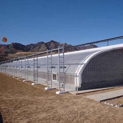 Aquaculture Serre solaire à double arc avec vibrateur de neige dans les zones de forte neige