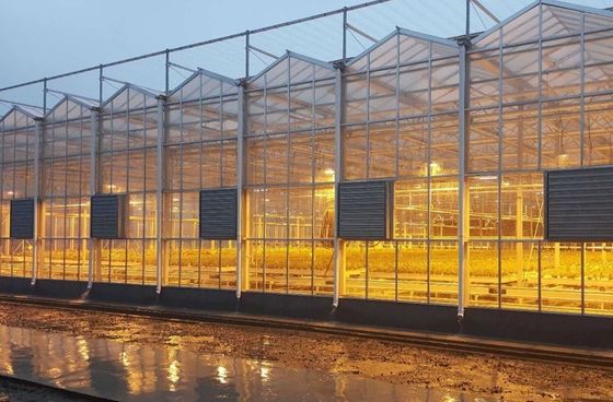 Demande personnalisée Juxiang Tomate concombre Laitue Structure d'éclairage Serre