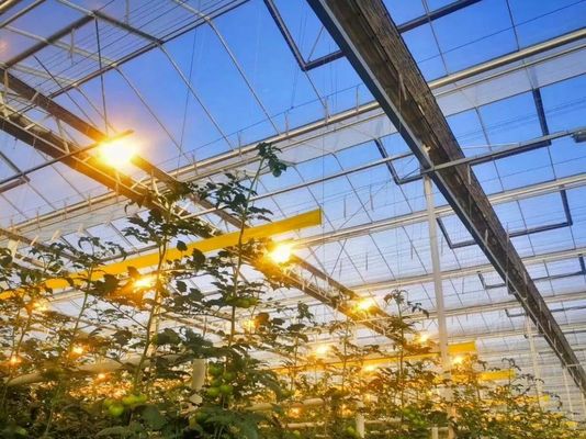 Demande personnalisée Juxiang Tomate concombre Laitue Structure d'éclairage Serre