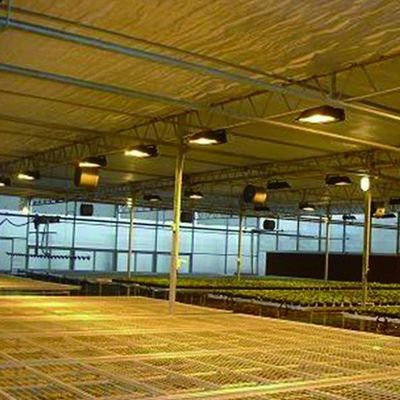 Remboursements garantie Serre à plusieurs étendues pour la culture de tomates, concombres et laitue