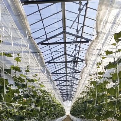 Système hydroponique de serre commercial personnalisé et abordable à des prix raisonnables
