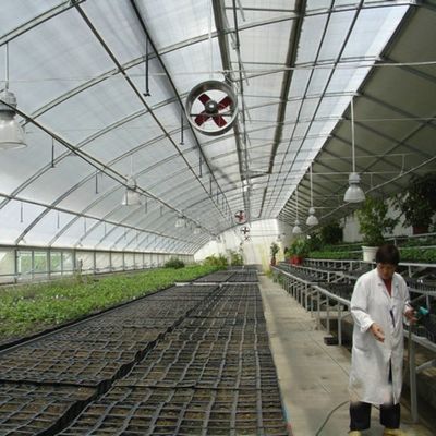 Métode de chauffage continu et de culture par tunnel Serre à film plastique agricole
