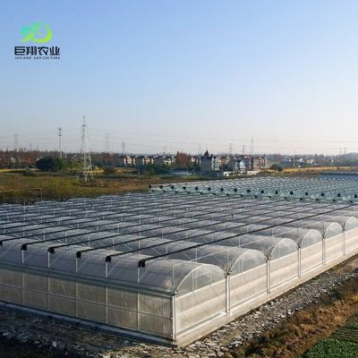 Serre à pellicule de tunnel en plastique multifonction agricole avec hauteur de 3 à 8 m
