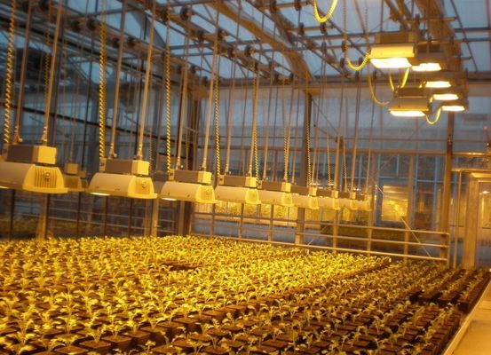Serre d'éclairage contrôlée par rideau humide pour 2000 000 kg de poids brut du paquet