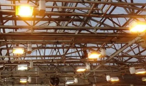 Serre d'éclairage contrôlée par rideau humide pour 2000 000 kg de poids brut du paquet