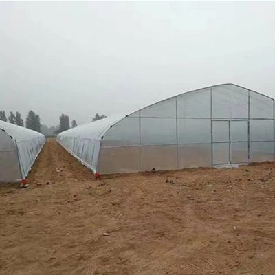 Toiture à voûte pour l'agriculture Tunnel en plastique à plusieurs travées JX-PC Serre agricole