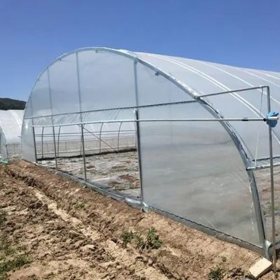 Toiture à voûte pour l'agriculture Tunnel en plastique à plusieurs travées JX-PC Serre agricole