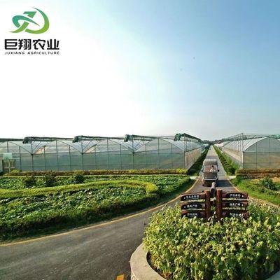 Demande personnalisée Serre à film de tunnel en plastique à longue portée agricole pour la production