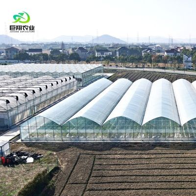 Demande personnalisée Serre à film de tunnel en plastique à longue portée agricole pour la production