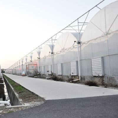 Demande personnalisée Serre à film de tunnel en plastique à longue portée agricole pour la production
