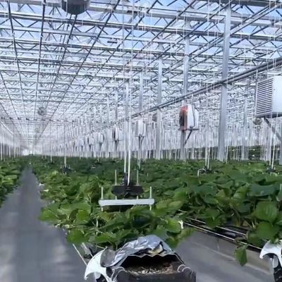 La culture hydroponique à plusieurs étendues avec une bonne transmission lumineuse et des options personnalisables