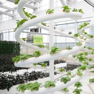 Personnalisation du système hydroponique de serre à haut rendement pour une durabilité commerciale
