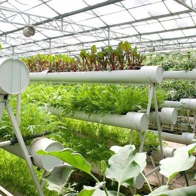 Personnalisation du système hydroponique de serre à haut rendement pour une durabilité commerciale