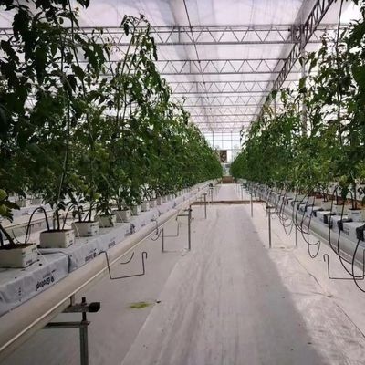 Personnalisation du système hydroponique de serre à haut rendement pour une durabilité commerciale