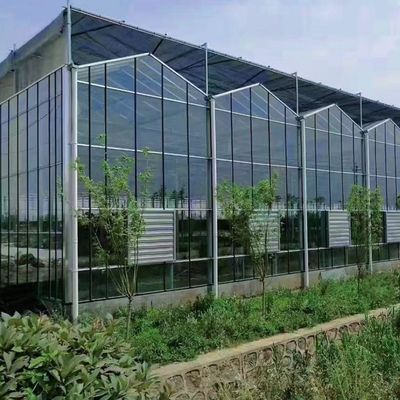 Serre en verre à écran multicolore à culture hydroponique avec structure en acier et épaisseur