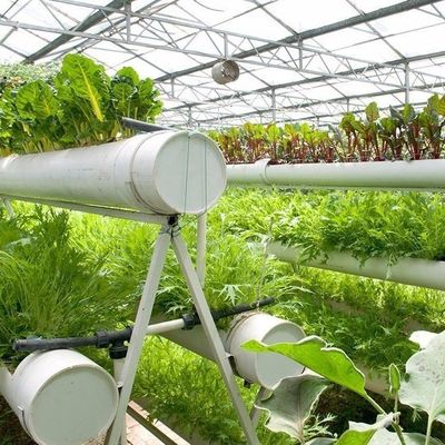 L'agriculture au film facilite les techniques de culture sans sol avancées pour les serres commerciales