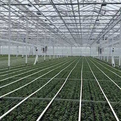 Système de culture hydroponique en serre avec écran d'ombrage Structure en acier Monnaie américaine