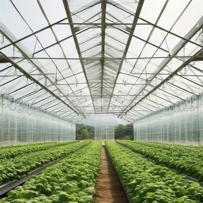 Système de culture hydroponique en serre avec écran d'ombrage Structure en acier Monnaie américaine