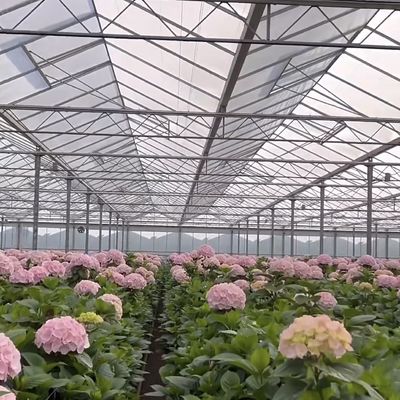 Un type de système hydroponique de serre en verre de toit pour les fleurs coût d'expédition abordable
