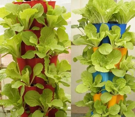 Système hydroponique Serre à film de contrôle climatique avec chauffage temporaire par Juxiang