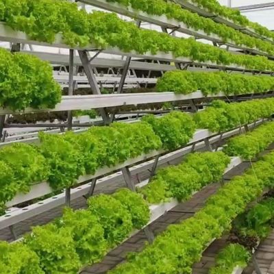Système hydroponique Serre à film de contrôle climatique avec chauffage temporaire par Juxiang