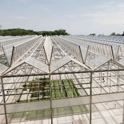 Système hydroponique de serre en verre à prix raisonnable pour les besoins agricoles à grande échelle