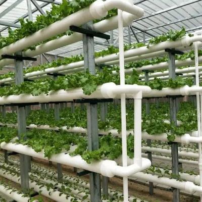 Solution de chauffage temporaire pour le secteur des serres en verre