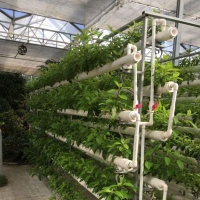 Solution de chauffage temporaire pour le secteur des serres en verre