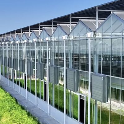 Système hydroponique de serre en verre à longue portée pour des conditions de croissance végétale optimales