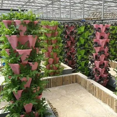 Système hydroponique de serre à grande échelle pour l'agriculture avec méthode de chauffage temporaire