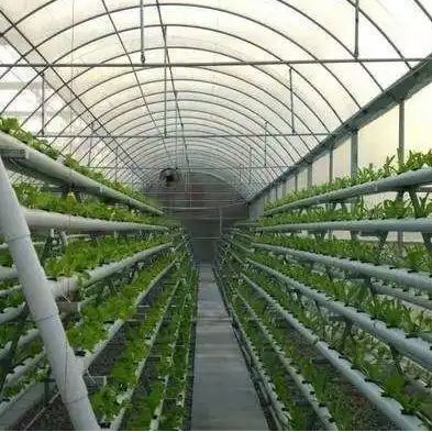 Système hydroponique de serre à grande échelle pour l'agriculture avec méthode de chauffage temporaire
