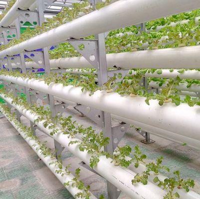 Système hydroponique de serre à grande échelle pour l'agriculture avec méthode de chauffage temporaire