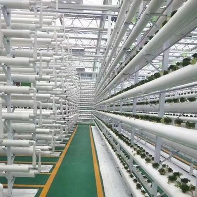 Système hydroponique de serre à grande échelle pour l'agriculture avec méthode de chauffage temporaire